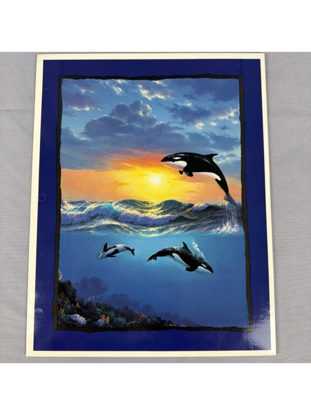 Vintage 90s Orca Killer Whale in Ocean ART IMPRESSIONS 3 Hole Pocket Folder NEW